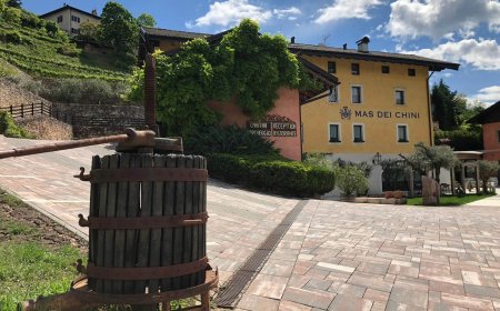 Gemme di Gusto: weekend fra sapori e natura con i soci della Strada del Vino e dei Sapori del Trentino