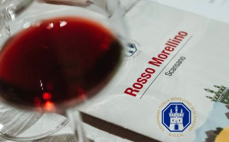 Rosso Morellino 2021. Al centro dell'evento enoturismo e sostenibilità