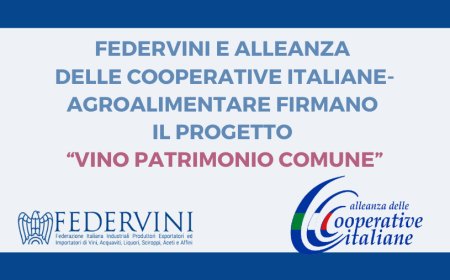 Federvini e Alleanza delle Cooperative Italiane-Agroalimentare firmano il progetto “Vino Patrimonio comune”