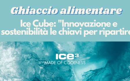 Ghiaccio alimentare. Ice Cube: "Innovazione e sostenibilità le chiavi per ripartire"