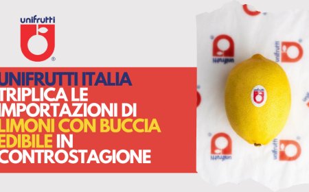 Unifrutti Italia triplica le importazioni di limoni con buccia edibile in controstagione