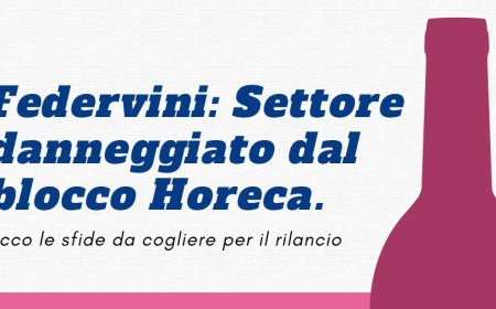 Federvini: Settore danneggiato dal blocco Horeca. Ecco le sfide da cogliere per il rilancio