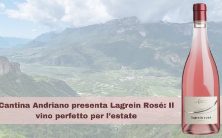 Cantina Andriano presenta Lagrein Rosé: il vino perfetto per l’estate