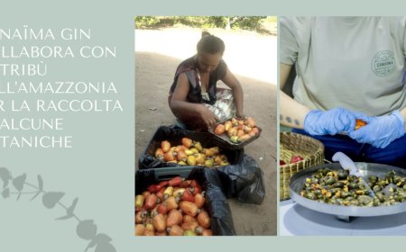 Canaïma Gin collabora con le tribù dell'Amazzonia per la raccolta di alcune botaniche