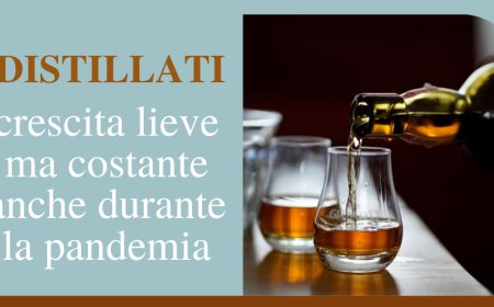 Distillati. Crescita lieve ma costante anche durante la pandemia