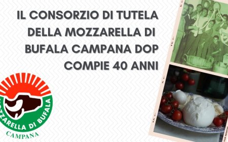 Il Consorzio di Tutela della Mozzarella di Bufala Campana Dop compie 40 anni