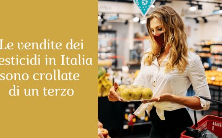 Le vendite dei pesticidi in Italia sono crollate di un terzo