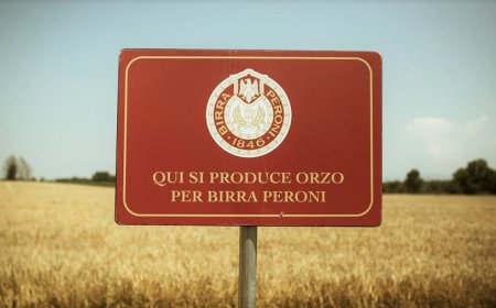 Birra Peroni con pOsti per la tracciabilità in blockchain del malto italiano