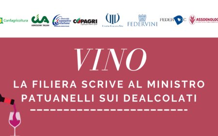 Vino. La filiera scrive al ministro Patuanelli sui dealcolati