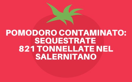 Pomodoro contaminato: sequestrate 821 tonnellate nel salernitano