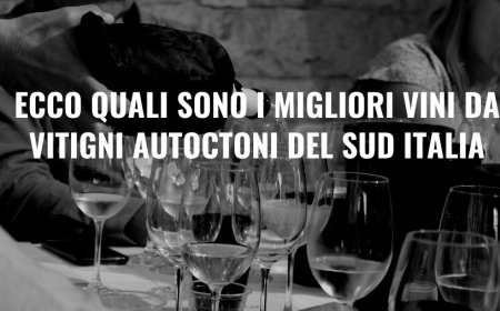Ecco quali sono i migliori vini da vitigni autoctoni del Sud Italia
