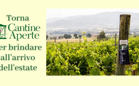 Torna Cantine Aperte per brindare all’arrivo dell'estate
