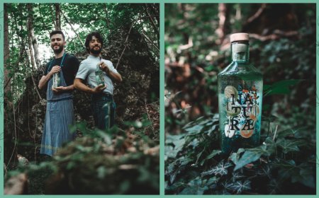 Da un'idea di Diego Sgarbossa e Carlo De Filippo nasce Naturæ Gin