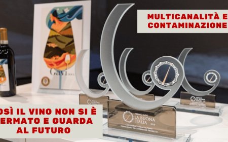 Multicanalità e contaminazione: così il vino non si è fermato e guarda al futuro