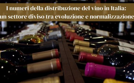 I numeri della distribuzione del vino in Italia: un settore diviso tra evoluzione e normalizzazione