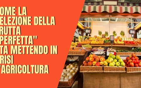 Come la selezione della frutta "perfetta" sta mettendo in crisi l'agricoltura