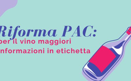Riforma PAC: per il vino maggiori informazioni in etichetta