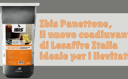 Ibis Panettone, il nuovo coadiuvante di Lesaffre Italia ideale per i lievitati