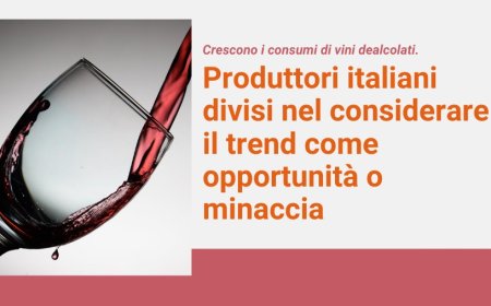 Crescono i consumi di vini dealcolati. Produttori italiani divisi nel considerare il trend come opportunità o minaccia