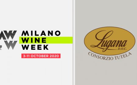 Il Lugana DOC alla Milano Wine Week