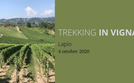 A Lapio torna il Trekking in Vigna