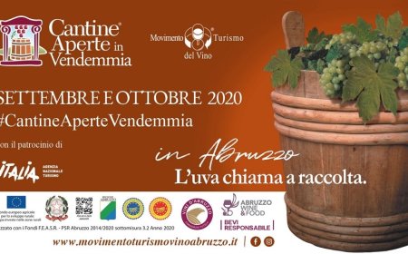 Torna "Cantine Aperte in Vendemmia" del Movimento Turismo del Vino Abruzzo