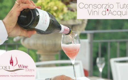 Qual è il futuro del rosé? Il Consorzio Vini d'Acqui fra dati e prospettive sull'enoturismo