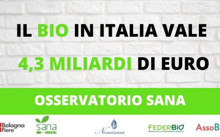 Il bio in Italia vale 4,3 miliardi di euro. I dati dell'Osservatorio Sana