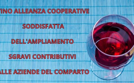 Vino Alleanza Cooperative soddisfatta dell'ampliamento sgravi contributivi alle aziende del comparto