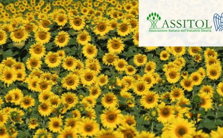 Oli da semi: dialogo e resilienza per ripartire