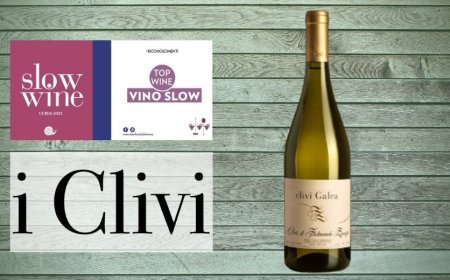 Il "Clivi Galea" 2018 è "Top Wine - Vino Slow" per la Guida Slow Wine 2021