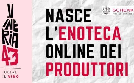 Vineria43 è l'enoteca online creata da 11 produttori