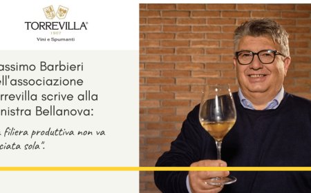 Massimo Barbieri dell'associazione Torrevilla scrive alla Ministra Bellanova: "La filiera produttiva non va lasciata sola"