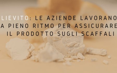 Lievito: le aziende lavorano a pieno ritmo per assicurare il prodotto sugli scaffali