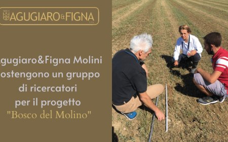 Agugiaro & Figna Molini sostengono un gruppo di ricercatori per il progetto "Bosco del Molino"
