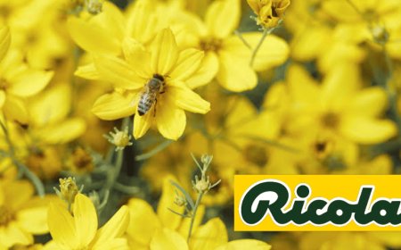 Ricola con Slow Food e i Mieli di Alta Montagna Alpina del Presidio per le api