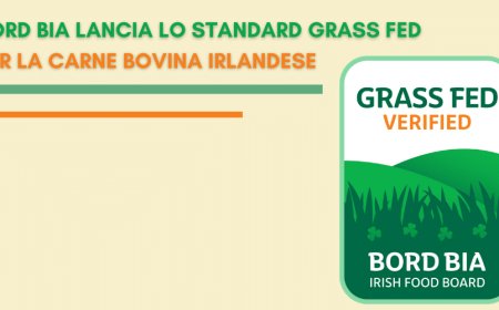 Bord Bia lancia lo Standard Grass Fed per la carne bovina irlandese