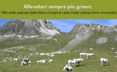Allevatori sempre più green: il 78% delle aziende della filiera Compral Latte-Inalpi utilizza fonti rinnovabili.