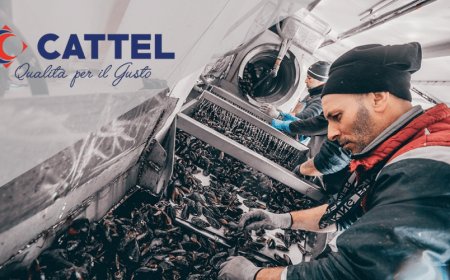 Da Jesolpesca la cozza Mitilla29®in tavola, grazie alla qualità Cattel SpA