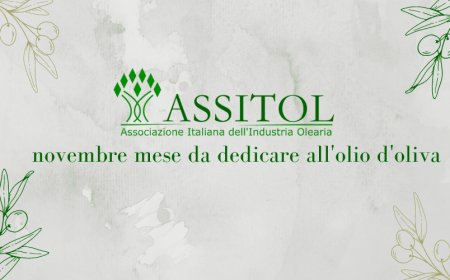 ASSITOL: novembre mese da dedicare all'olio d'oliva