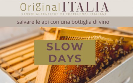 OriginalItalia: salvare le api con una bottiglia di vino