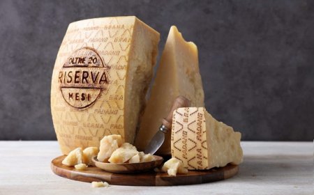 Viaggio lungo il Po con Patrizio Roversi e Grana Padano