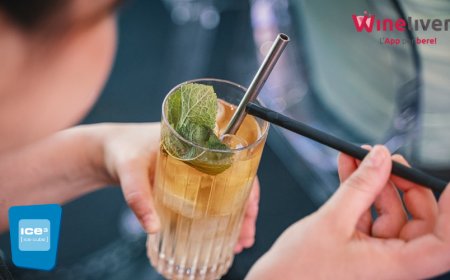 Cocktail a domicilio grazie a Ice Cube e Winelivery