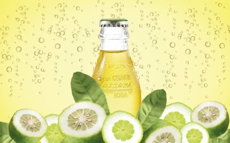 Cedral Tassoni ha scelto Erbacipollina per la comunicazione e marketing