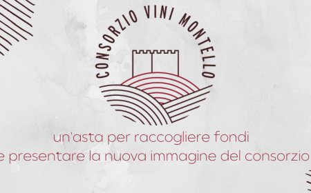 Vini del Montello: un'asta per raccogliere fondi e presentare la nuova immagine del consorzio