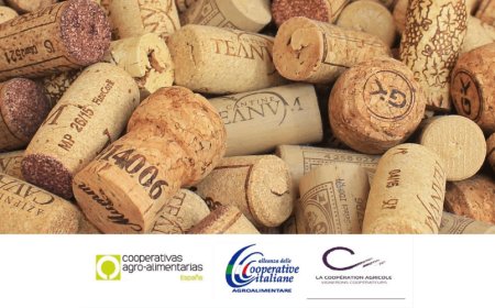 Vino e Covid: le Cooperative chiedono di prolungare le misure di sostegno e rilancio di consumi ed export