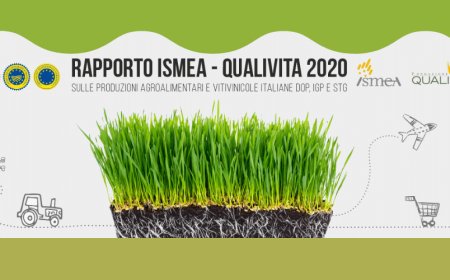 Presentato il XVIII Rapporto Ismea-Qualivita sulle DOP, IGP e STG