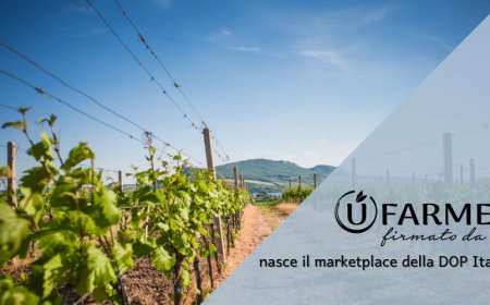 UFarmer: nasce il marketplace della DOP Italiana