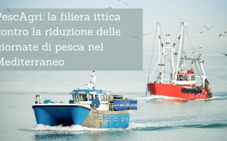 PescAgri: la filiera ittica contro la riduzione delle giornate di pesca nel Mediterraneo