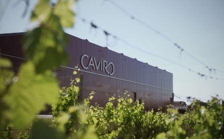 Caviro chiude il 2020 in crescita